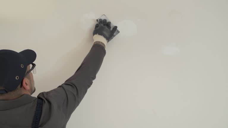 Best Drywall Removal and Disposal  in Lewiston, MN